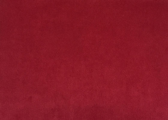 النيلوي القشرة القشرية الملابس الممتدة القشرة القشرية الأخضر الرمادي الأزرق